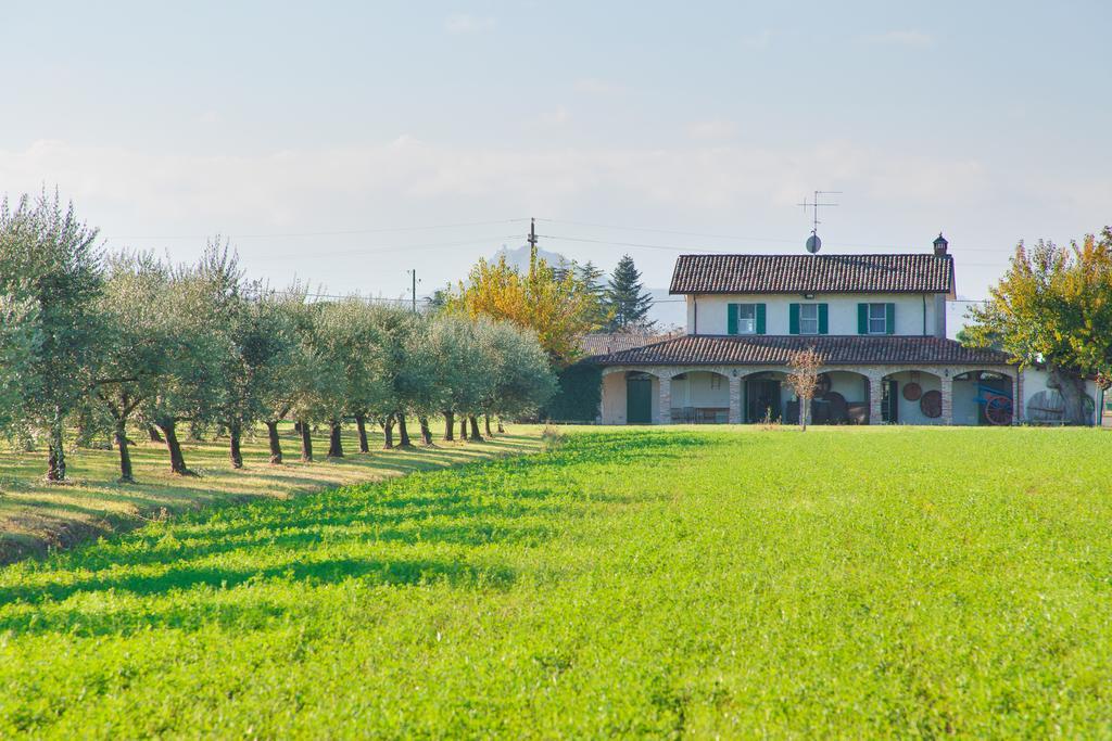 La Fattoria Guest House SantʼArcangelo di Romagna Eksteriør bilde